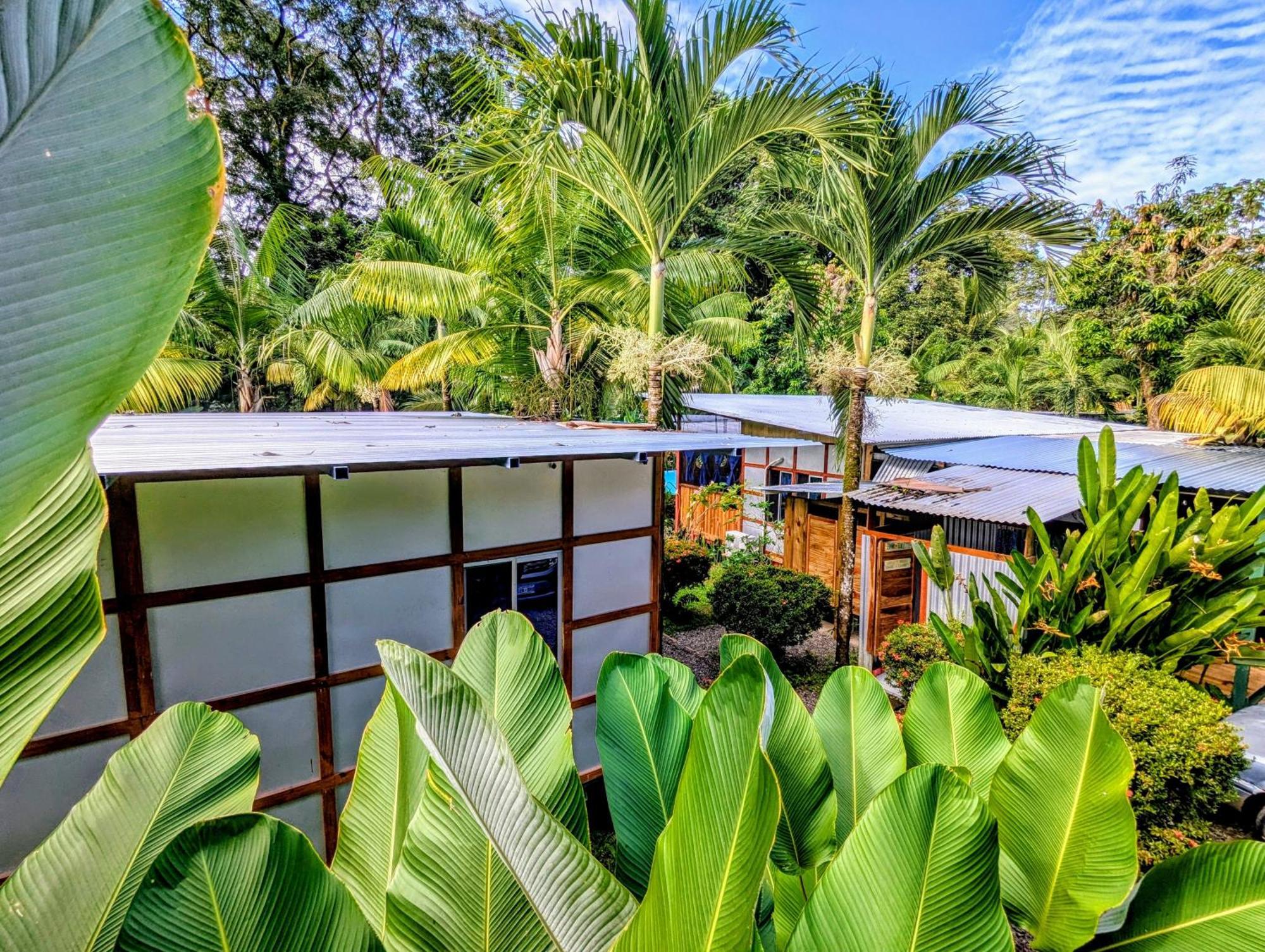 Arboura Eco Cabins Uvita Eksteriør billede